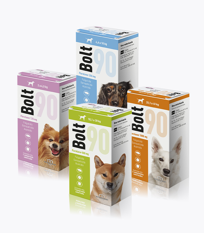 bolt90